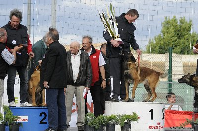 Remise des Prix 213.JPG - CHIENPLUS.COM